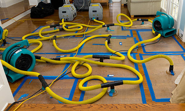 Professional Flood Damage Restoration technician working in Hollister, MO